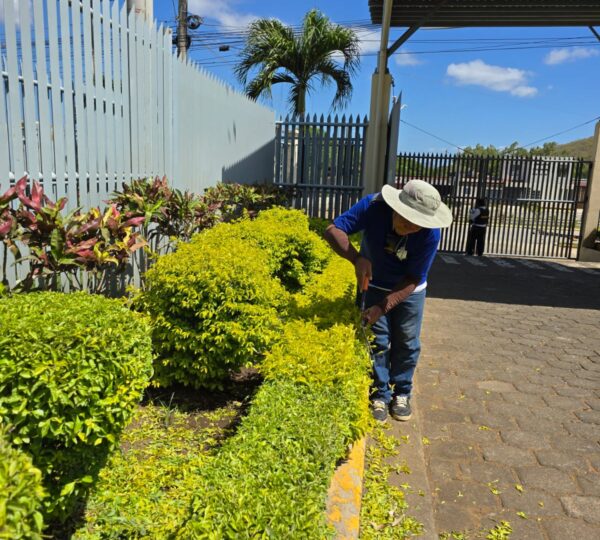 Jardinería