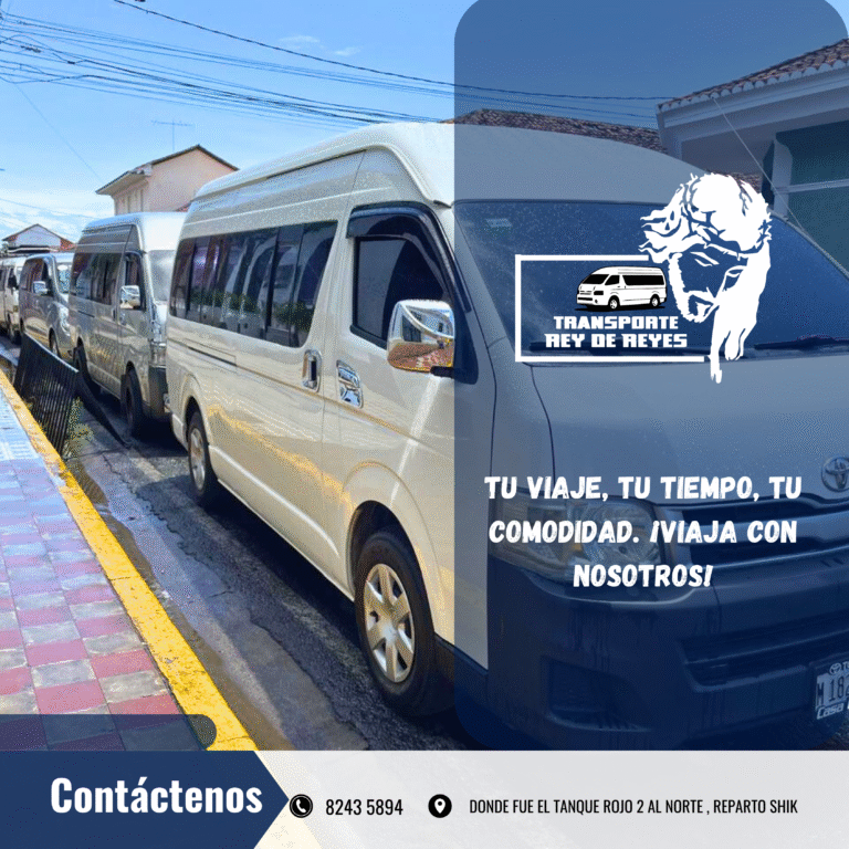 Transporte Rey de Reyes — fotografía 3