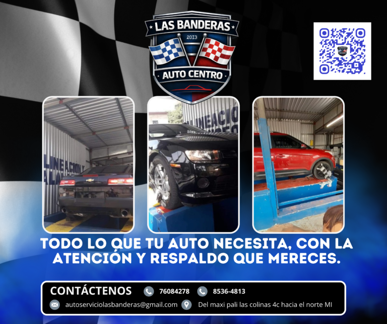 Las Banderas AUTOCENTRO — fotografía 3