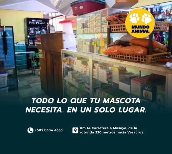 Veterinaria Mundo Animal