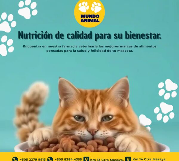 Veterinaria Mundo Animal