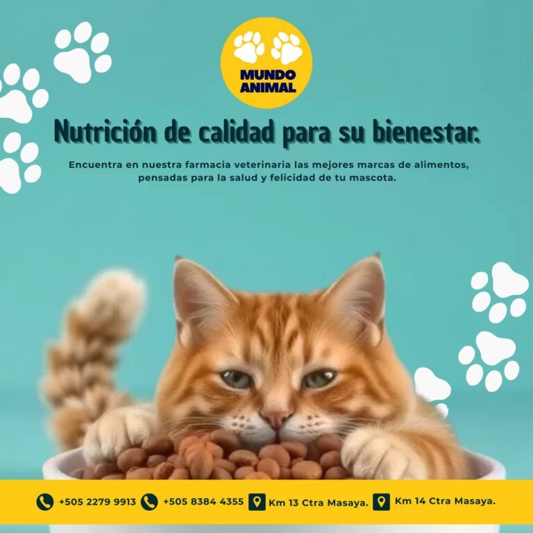 Veterinaria Mundo Animal — fotografía 4