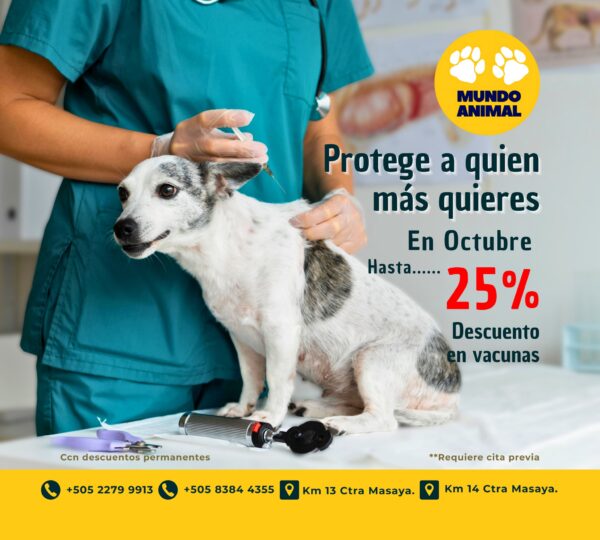 Veterinaria Mundo Animal