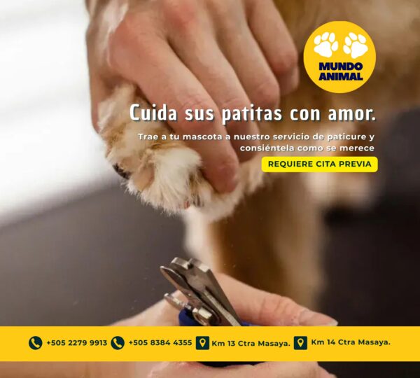 Veterinaria Mundo Animal