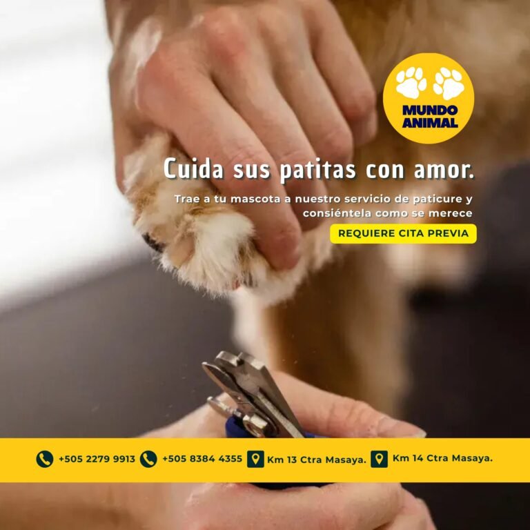 Veterinaria Mundo Animal — fotografía 2