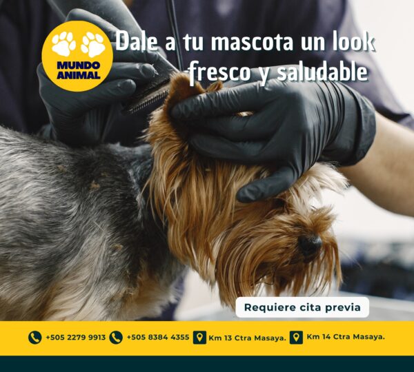 Veterinaria Mundo Animal