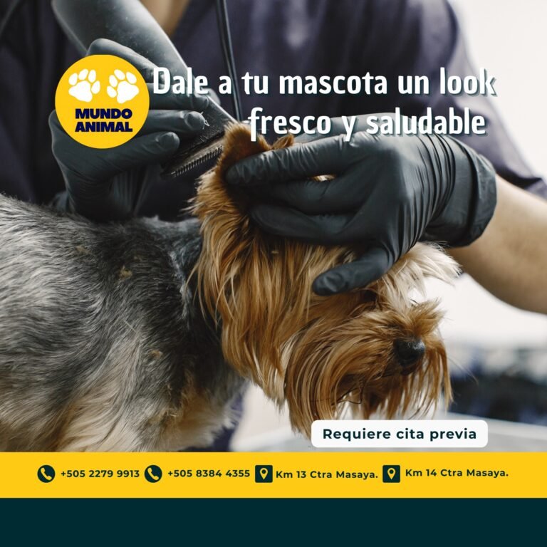 Veterinaria Mundo Animal — fotografía 3