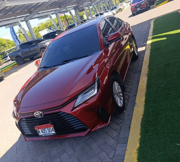 Joya Valdivia Premium Travel