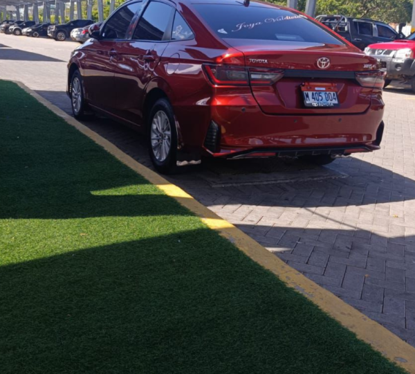 Joya Valdivia Premium Travel