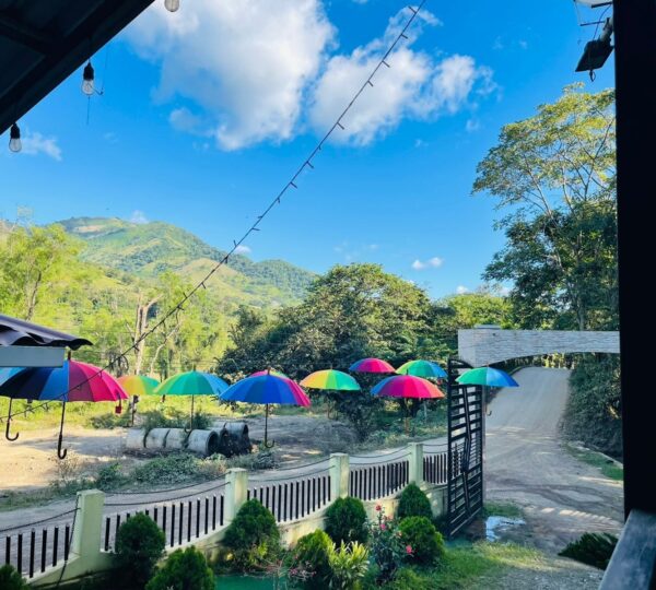 Restaurante  El Diamante