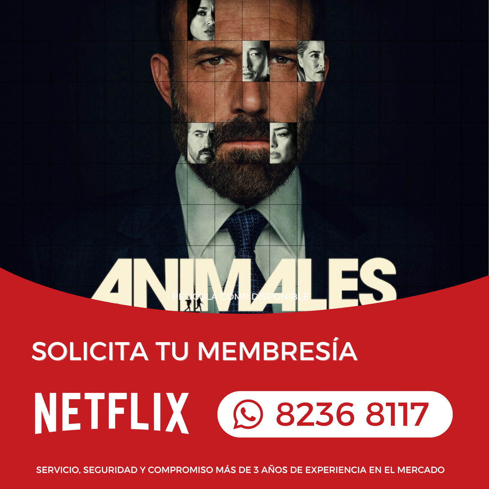 Streamfy Nic — fotografía 2