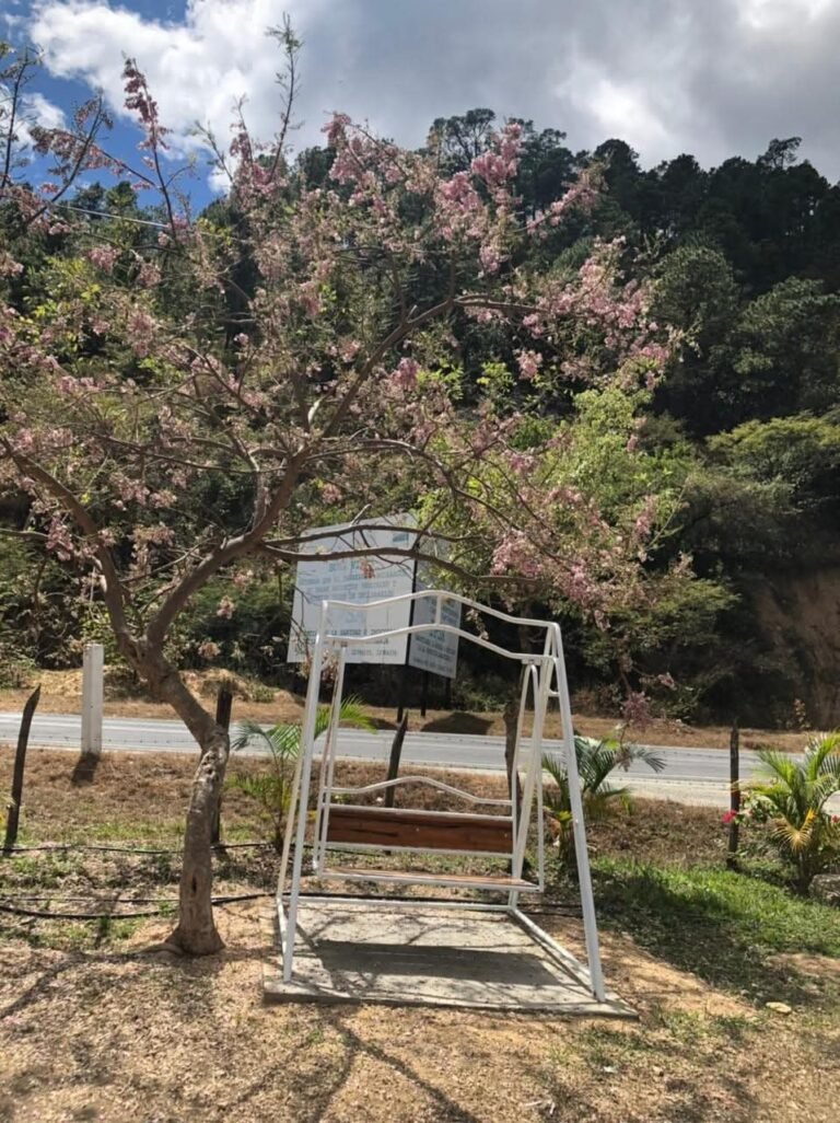 Parador Turistico El Macizo — fotografía 4