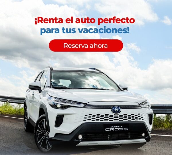 ARAUZ RENT A CAR.
