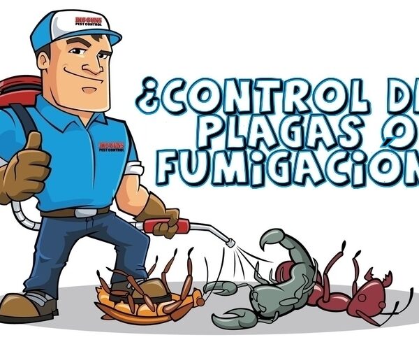Mr Fumigaciones Nicaragua