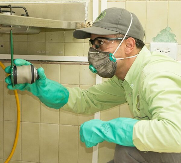 Mr Fumigaciones Nicaragua