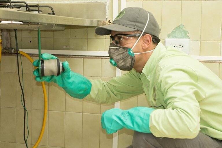 Mr Fumigaciones Nicaragua — fotografía 2