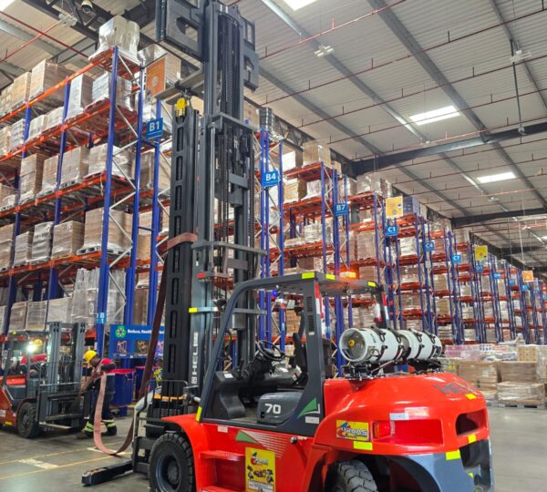 Gruas y Montacargas Vega King Sing