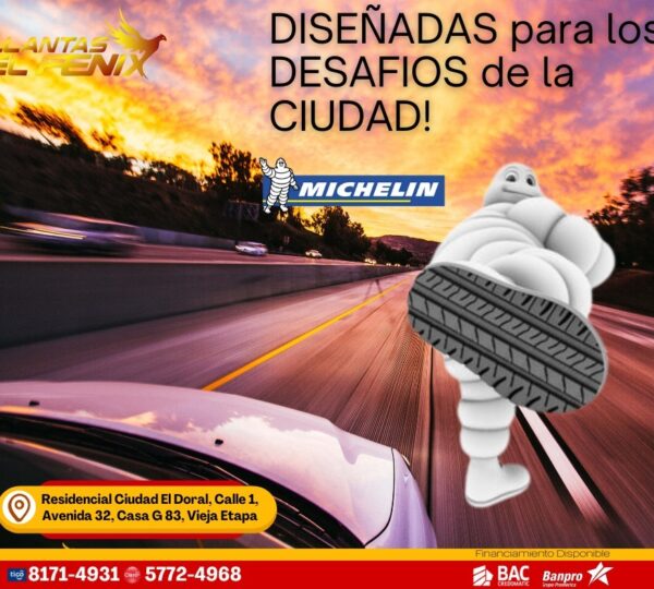 Llantas El Fenix