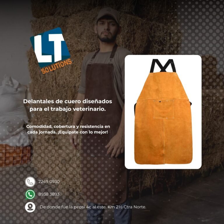 LT Solutions — fotografía 2