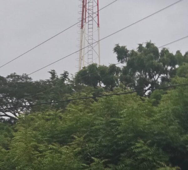 Servicios Múltiples Hernández S, A.