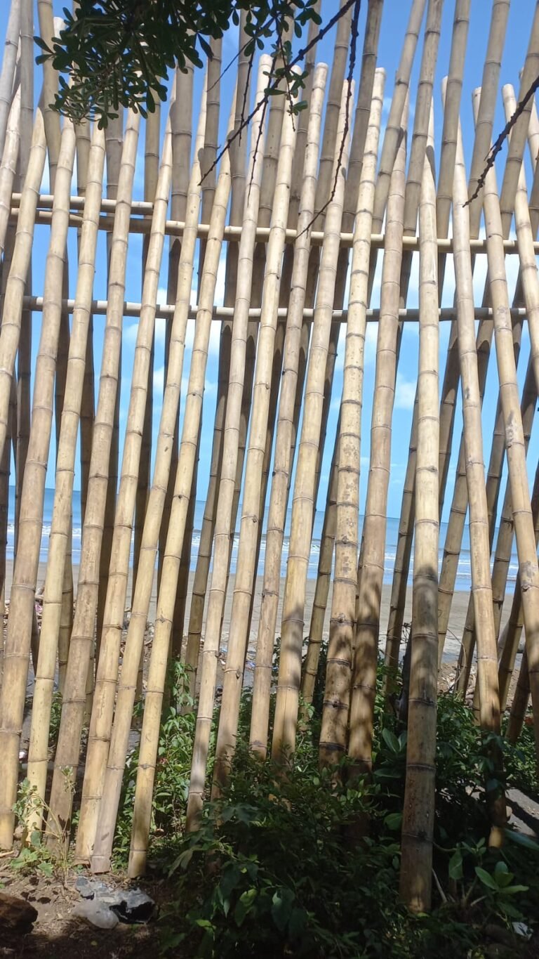 Casa Madera — fotografía 5