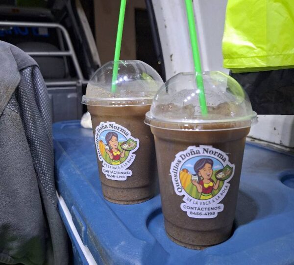 Quesillos Doña Norma