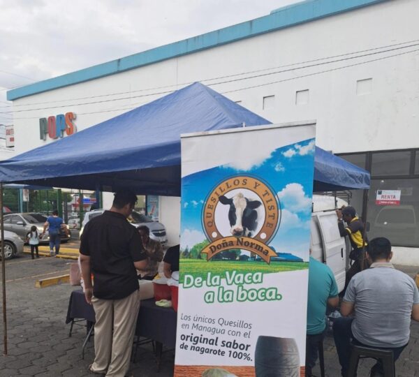 Quesillos Doña Norma