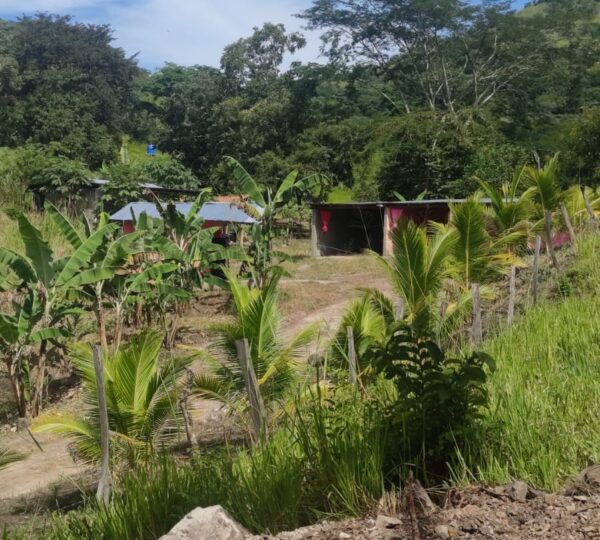 Auto Hotel Escorcia Palacios