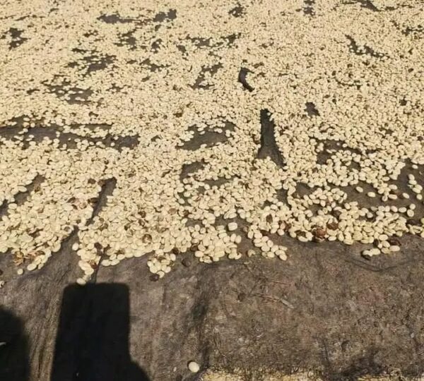 Café Molido Jinotega