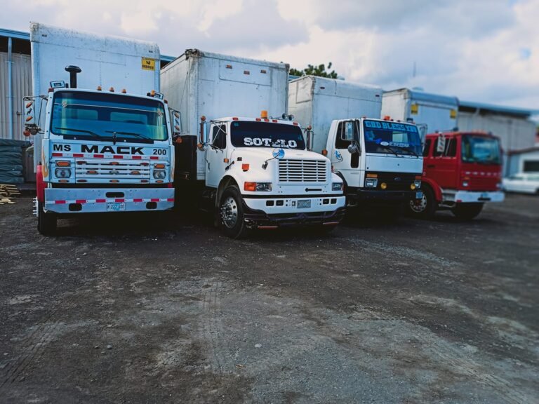 Transporte sotelo — fotografía 3
