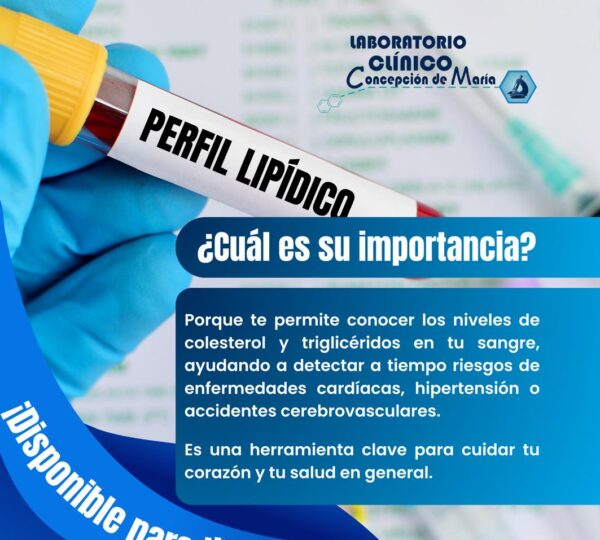 Laboratorio Concepción de María