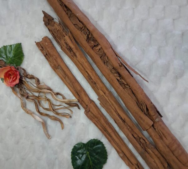 Mundo especie Sebaco.