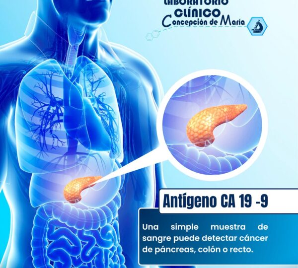 Laboratorio Concepción de María