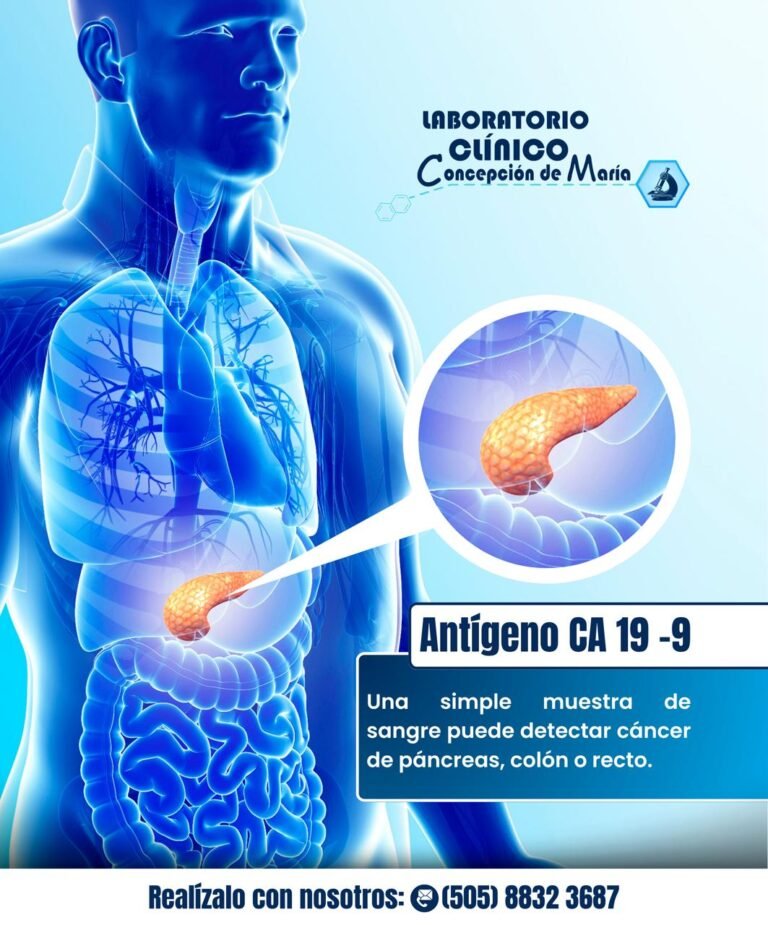Laboratorio Concepción de María — fotografía 4