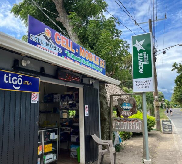 Cell-Mobile Alvarado Guillen #2