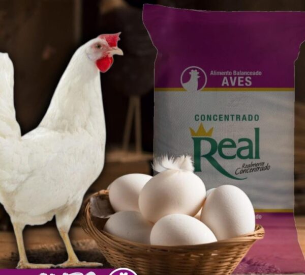 AGROPECUARIA LOS SOCIOS