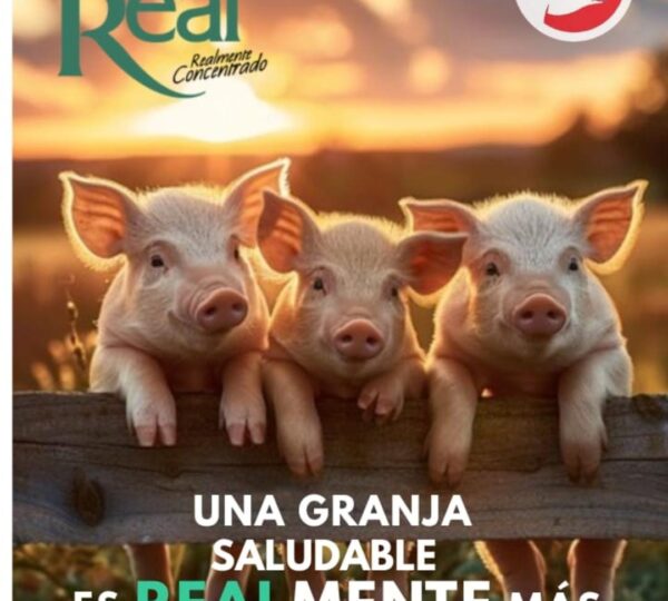 AGROPECUARIA LOS SOCIOS