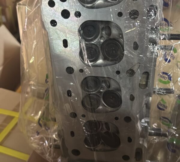 Autorepuesto el Pelon