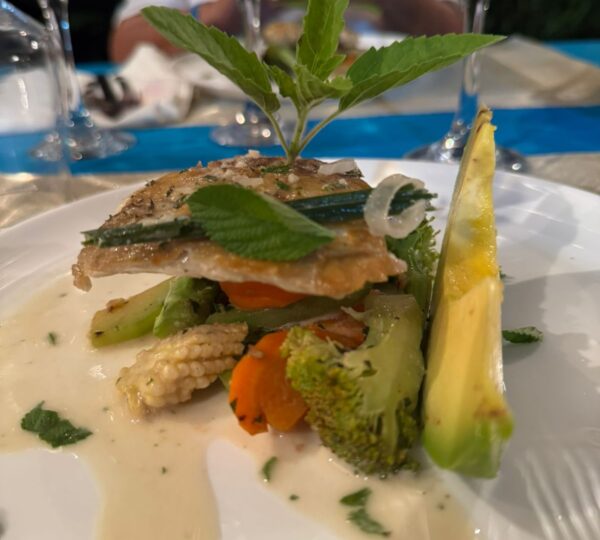 Darinia’s Fine Dining