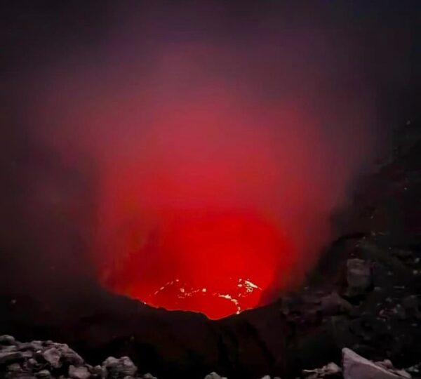 Expedition Shuttle Travel