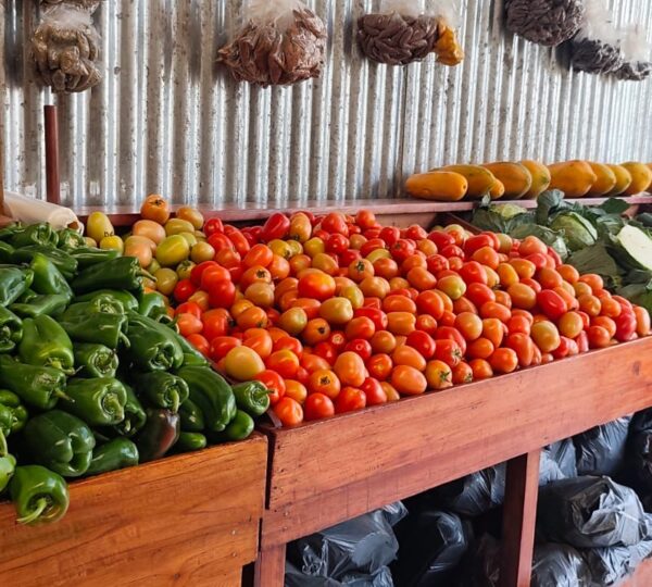 Famer Market Luisita