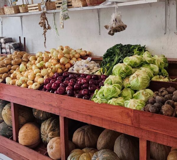Famer Market Luisita