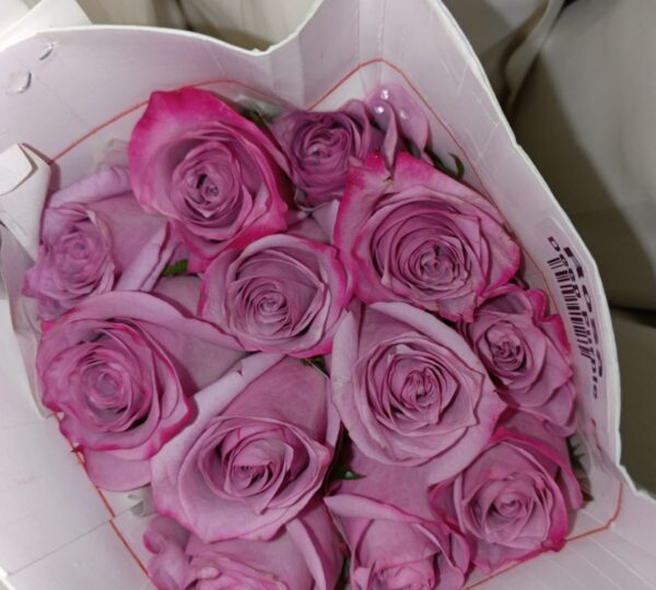 FLORISTERIA SANTA ANA