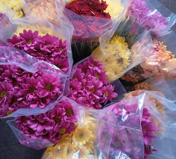 FLORISTERIA SANTA ANA