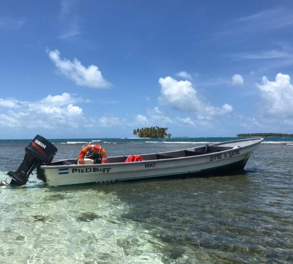 Hotel Bar y Rest Best View