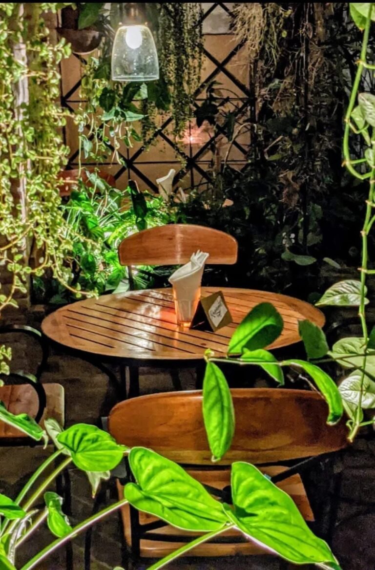 Café Bo-Ke — fotografía 5