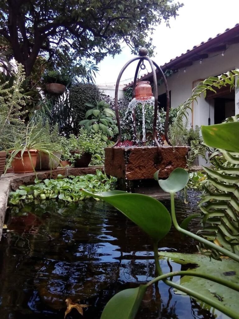 Café Bo-Ke — fotografía 6