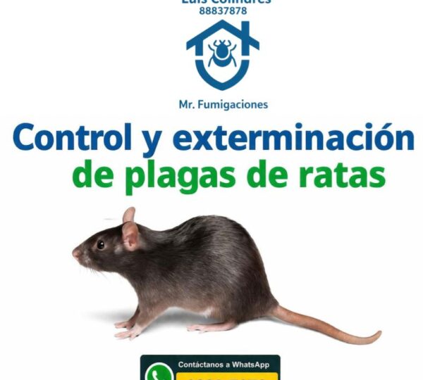 Mr Fumigaciones Nicaragua