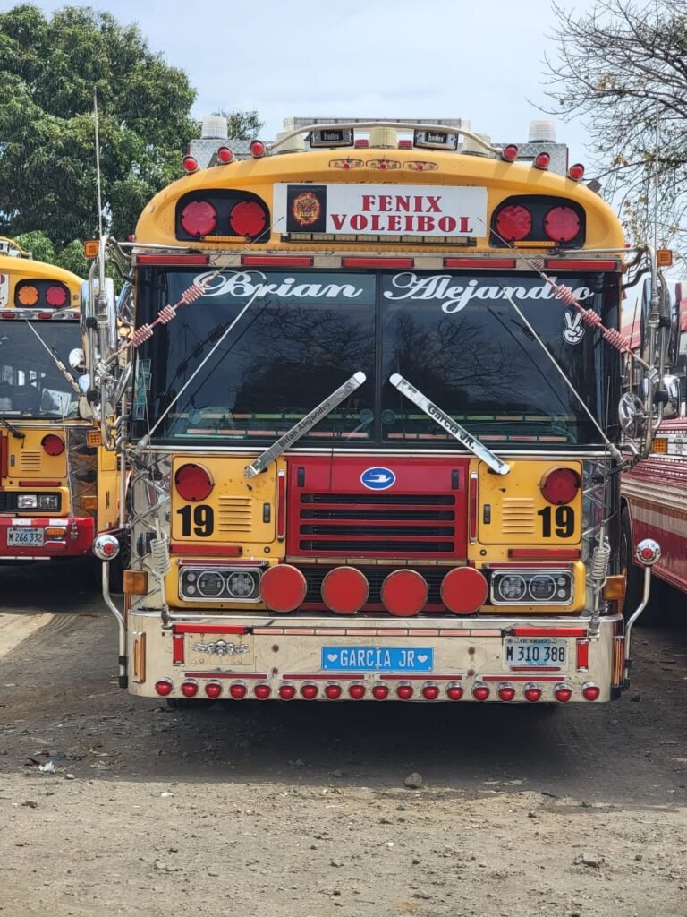 Transporte Gloria Amelia Garcia Jr — fotografía 5