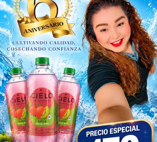 Distribuidora de Abarrotes La Feria
